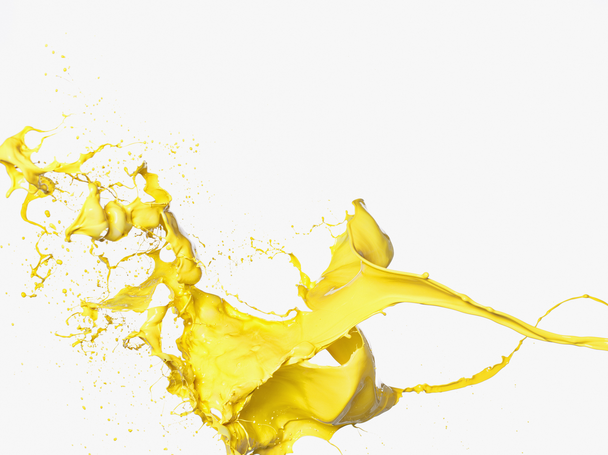 Yellow paint splash on white background.