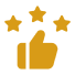 Approval symbol with stars