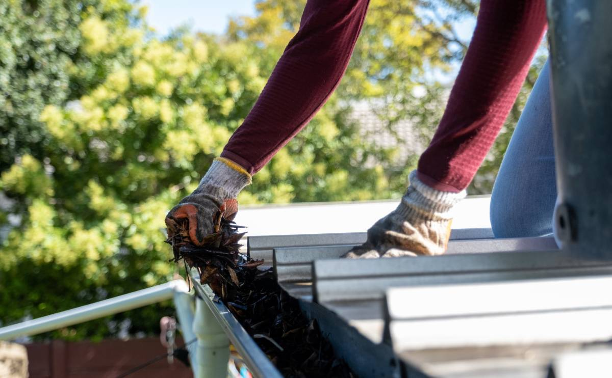 Hands removing leaves from roof gutter